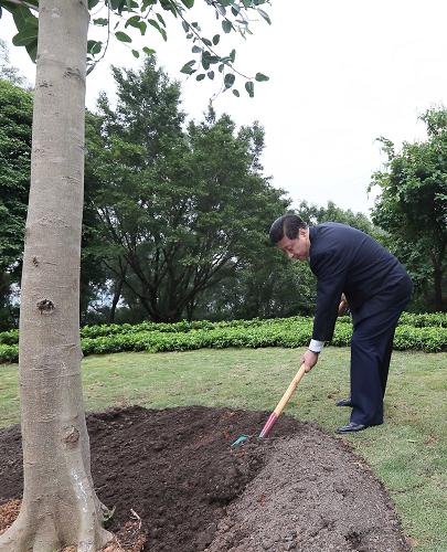 2012年12月7日至11日，習(xí)近平在廣東省考察工作。這是8日上午，習(xí)近平在深圳蓮花山公園種下一棵高山榕樹。新華社記者 蘭紅光 攝