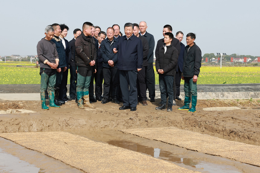 2024年3月18日至21日，中共中央總書記、國家主席、中央軍委主席習(xí)近平在湖南考察。這是19日下午，習(xí)近平在常德市鼎城區(qū)謝家鋪鎮(zhèn)港中坪村走進(jìn)田間，察看秧苗培育和春耕備耕進(jìn)展。新華社記者 王曄 攝